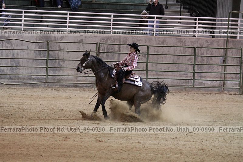 Proof Number utah_09-0990