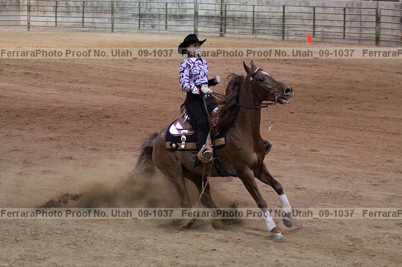 Proof Number utah_09-1037