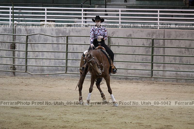 Proof Number utah_09-1042