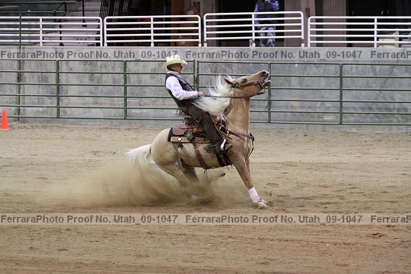 Proof Number utah_09-1047
