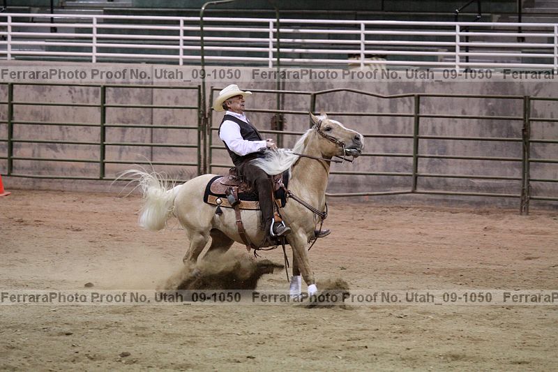 Proof Number utah_09-1050