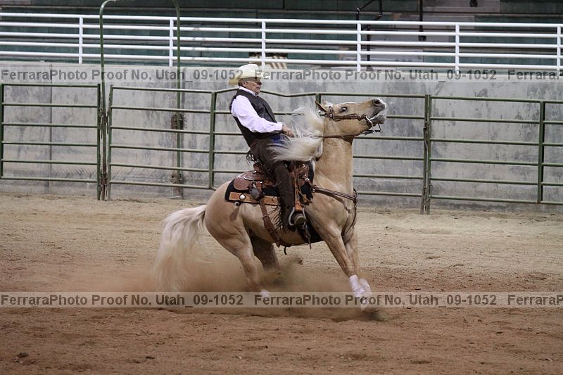 Proof Number utah_09-1052