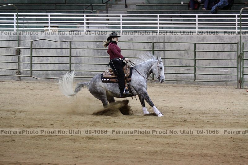Proof Number utah_09-1066