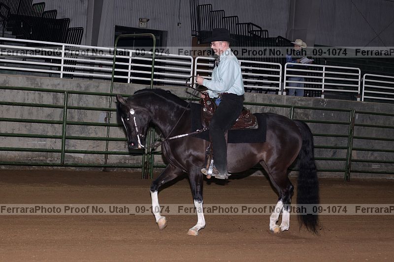Proof Number utah_09-1074