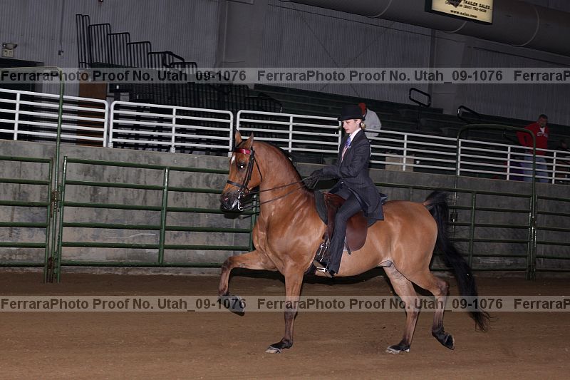 Proof Number utah_09-1076
