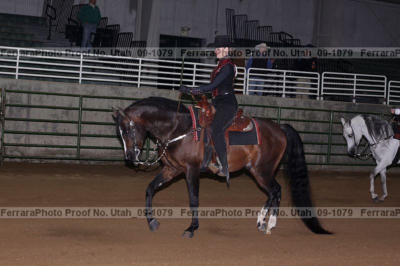 Proof Number utah_09-1079
