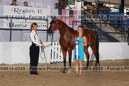 Proof Number 09r14-0248