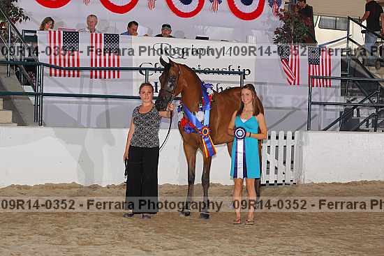 Proof Number 09r14-0352