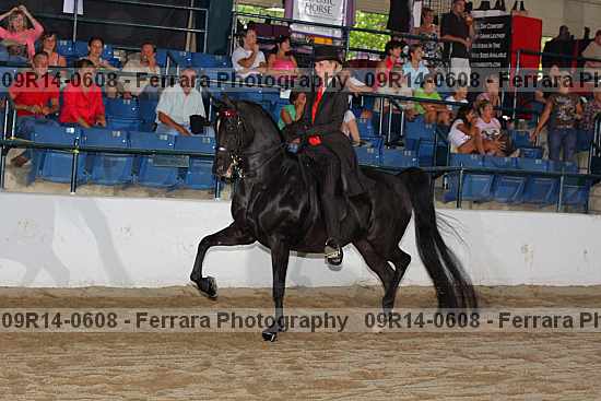 Proof Number 09r14-0608