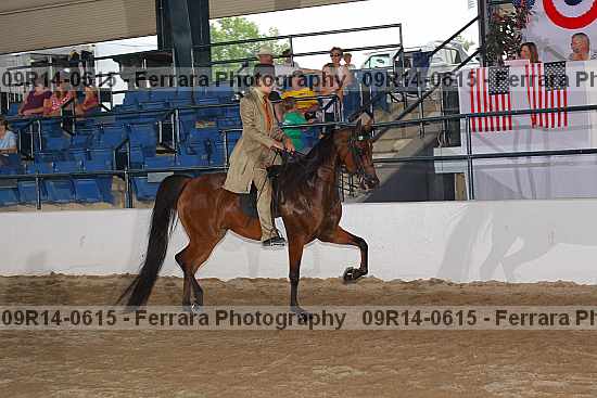 Proof Number 09r14-0615