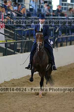 Proof Number 09r14-0624