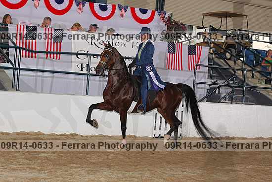 Proof Number 09r14-0633