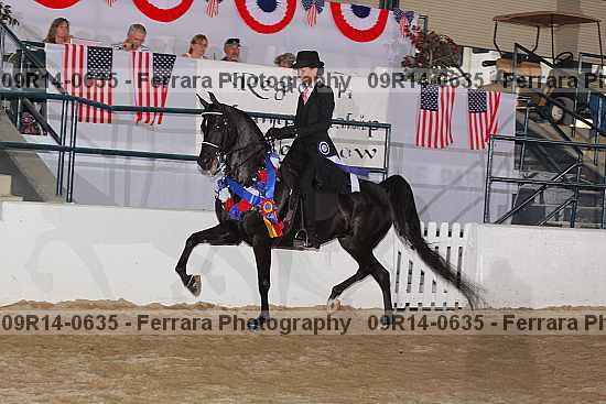 Proof Number 09r14-0635
