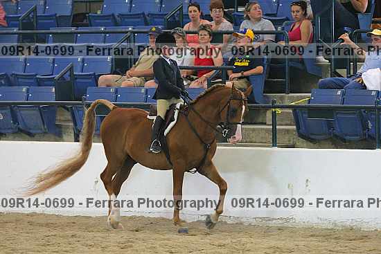 Proof Number 09r14-0699