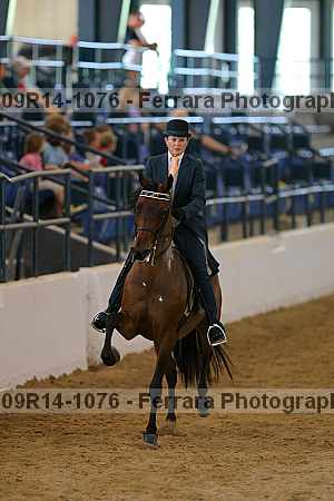 Proof Number 09r14-1076