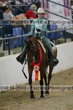 Proof Number 09r14-2699