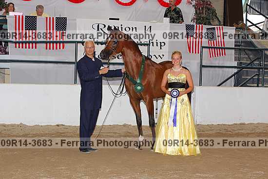 Proof Number 09r14-3683