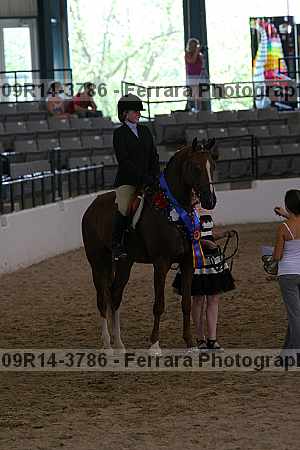 Proof Number 09r14-3786