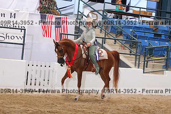 Proof Number 09r14-3952