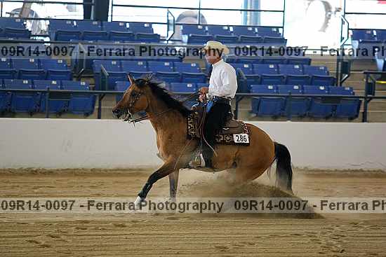 Proof Number 09r14-0097