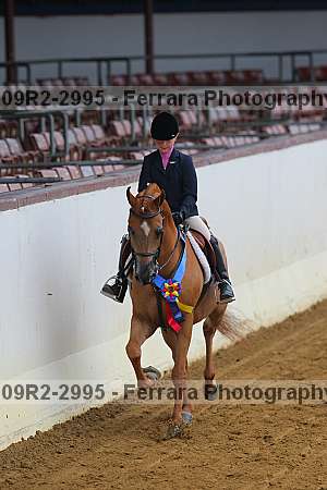 Proof Number 09r2-2995