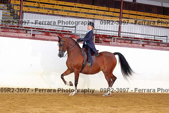 Proof Number 09r2-3097