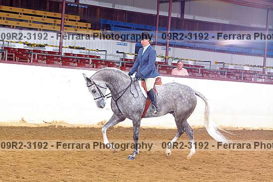 Proof Number 09r2-3192