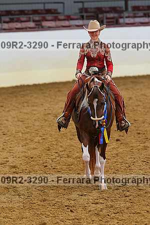 Proof Number 09r2-3290