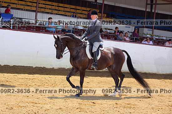 Proof Number 09r2-3636