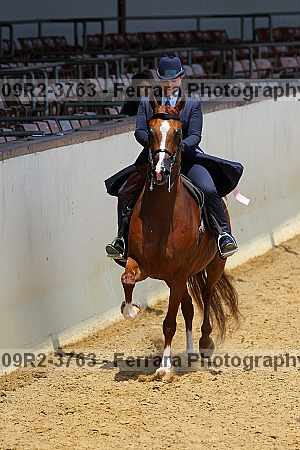 Proof Number 09r2-3763