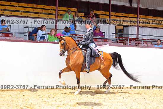 Proof Number 09r2-3767