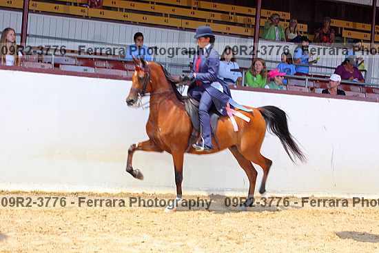 Proof Number 09r2-3776