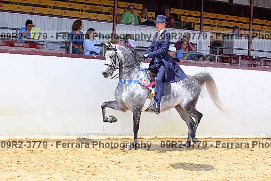 Proof Number 09r2-3779