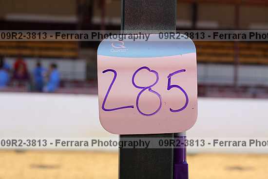 Proof Number 09r2-3813