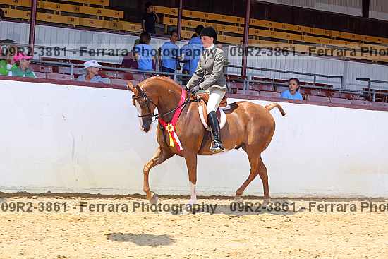 Proof Number 09r2-3861