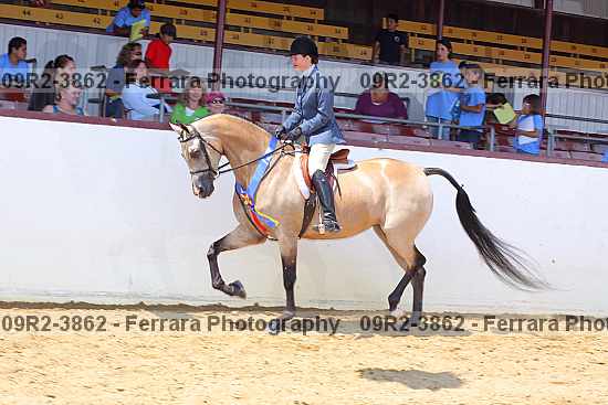 Proof Number 09r2-3862