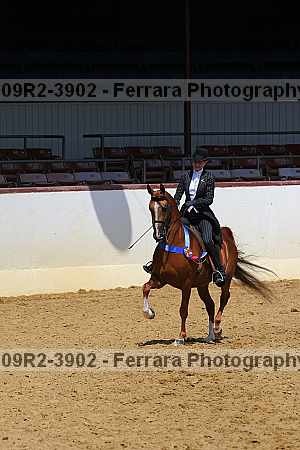 Proof Number 09r2-3902