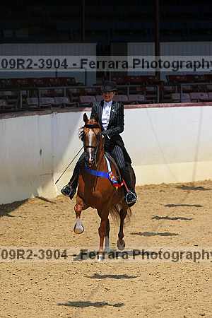 Proof Number 09r2-3904