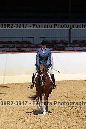 Proof Number 09r2-3917