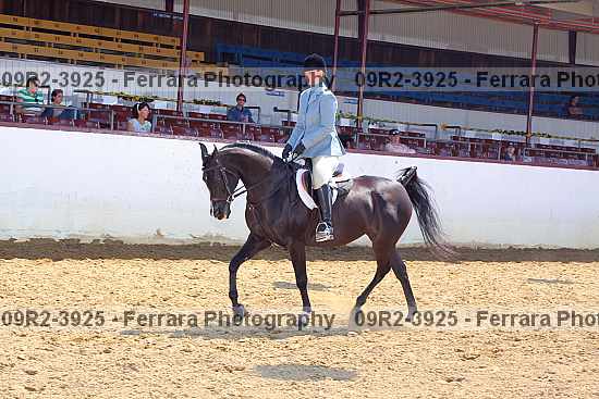 Proof Number 09r2-3925