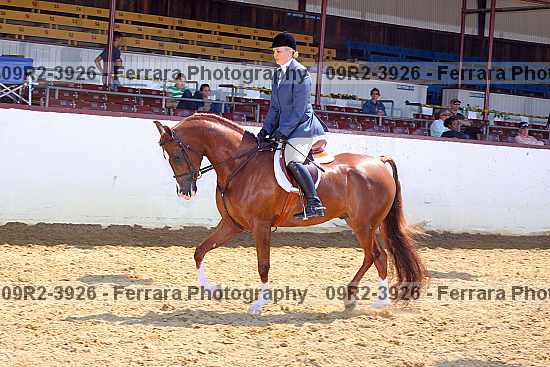 Proof Number 09r2-3926
