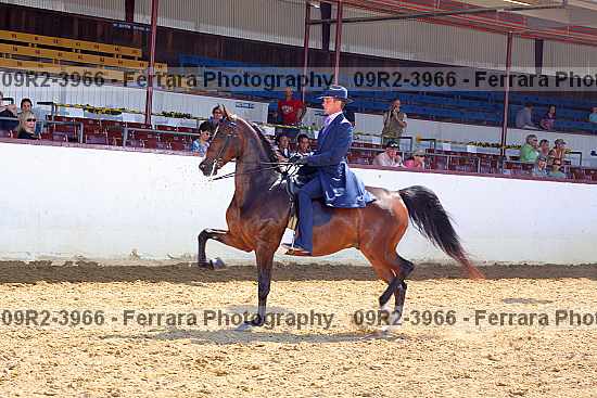 Proof Number 09r2-3966