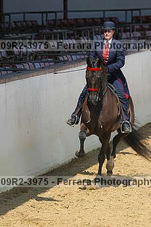 Proof Number 09r2-3975