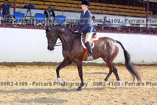Proof Number 09r2-4109