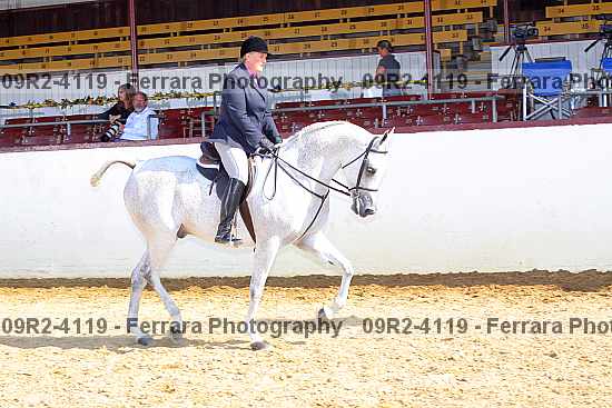Proof Number 09r2-4119