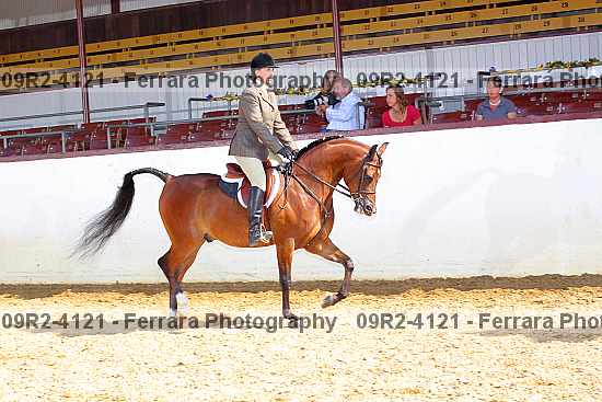 Proof Number 09r2-4121