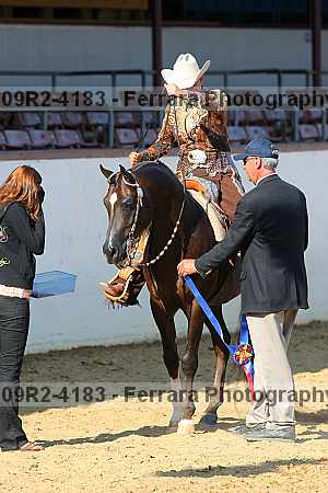 Proof Number 09r2-4183