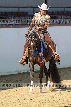 Proof Number 09r2-4184