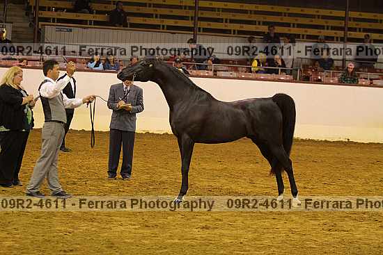 Proof Number 09r2-4611