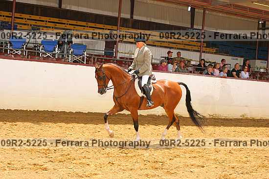 Proof Number 09r2-5225